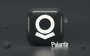 Palantir-Aktie Quartalszahlen