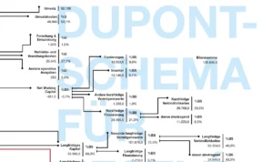 DuPont Schema