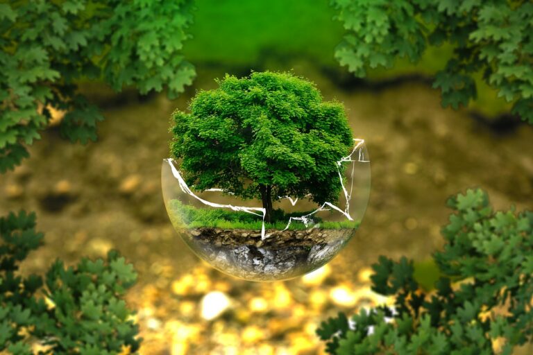 Baum in einer halb zerbrochenen Glaskugel